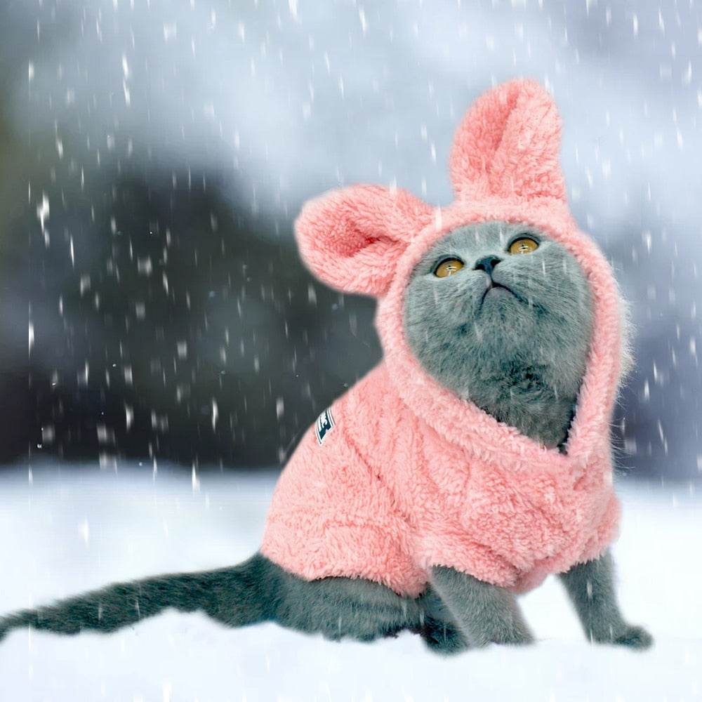 Winter clothes for clearance cats