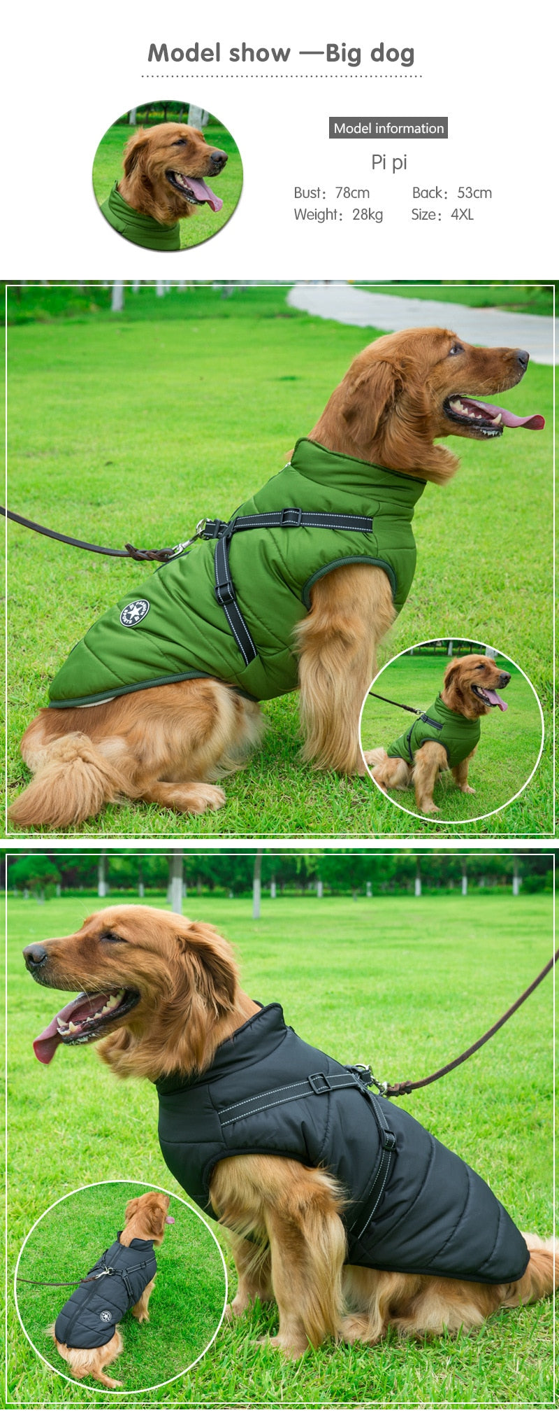 Dog coat for golden clearance retriever